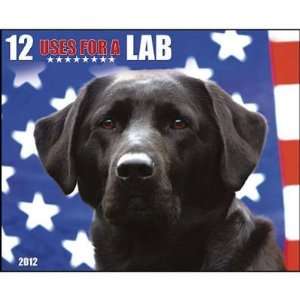  12 Uses for a Lab 2012 Wall Calendar