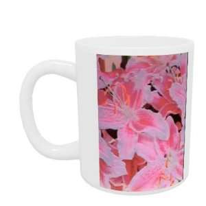 Tiger lily relief, 1999 (colour photo) by   Mug   Standard Size
