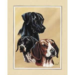  Gary Ampel   Dog Collage II Canvas