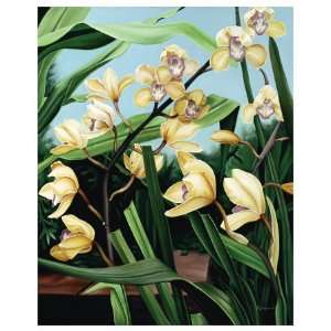   Orchids Giclee Poster Print by Pamela Jablonski, 40x50