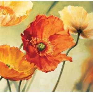  Champs de coquelicots II by PIERRE VIOLLET. Size 27.50 X 