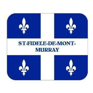  Canadian Province   Quebec, St Fidele de Mont Murray Mouse 