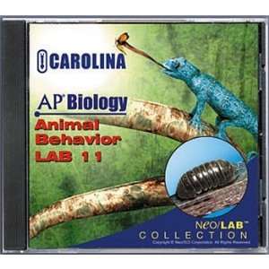  AP Biology Lab 11 Animal Behavior CD ROM Network 