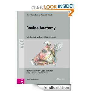 Bovine Anatomy (Vet (Schlutersche)) Klaus Dieter Budras, Robert E 
