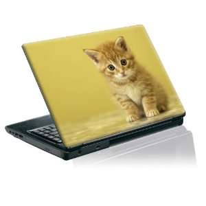   skin protective decal ginger tabby kitten very cute Electronics
