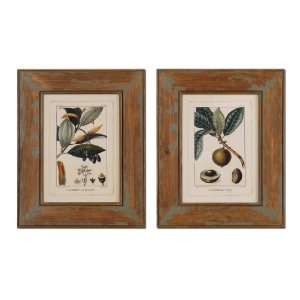  Antique Botanical I, II, Pictures