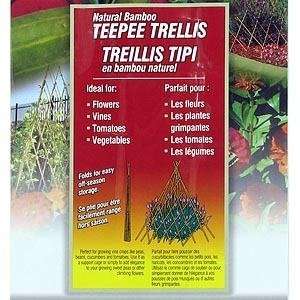  Natural Bamboo Teepee Trellis