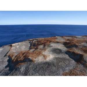  Orange Lichen on Coastal Granite Rocks Overlooks a Vast 