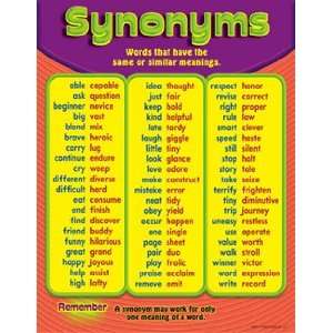  CHART 17X22 SYNONYMS Toys & Games
