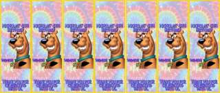 Scooby Doo Birthday Party Invitations and Favors  