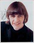 Beatles Ringo Starr Gartlan Plate Michael J Taylor Signed Artist 