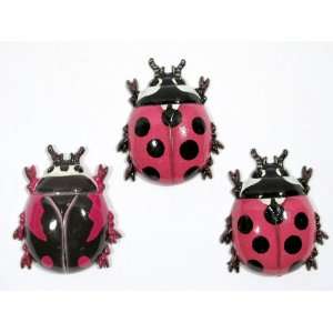  Wholesale Pack Handpainted Ladybug Insect Refrigerator 