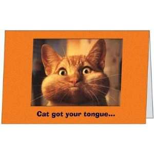  Birthday Humor Fun Cat Adult Friend Greeting Card (5x7) by 