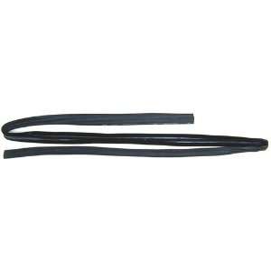 GMC C1500/C25/C35 Door Glass Channel Weatherstrip   Front, RH 81 82 83 