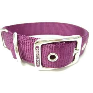  Hamilton Double Thick Nylon Deluxe Dog Collar, 1 Inch by 