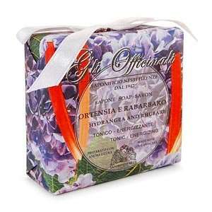   Nesti Dante Gli Officinali Soap   7 oz   Hydrandea & Rhubarb Beauty