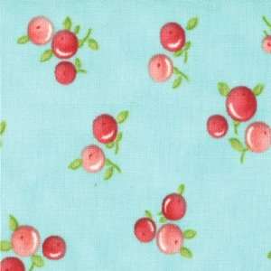   Ruby Fabric by Bonnie and Camille Quirky Aqua Arts, Crafts & Sewing