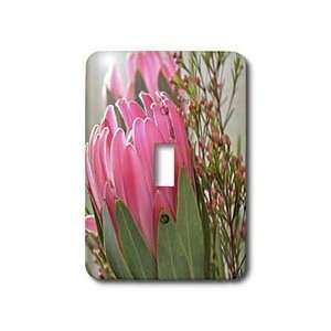Patricia Sanders Flowers   Pink Protea Flowers  Floral Photography 