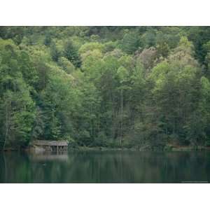  Frog Pond in Chattachoochee National Forest Premium 