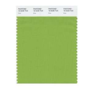  PANTONE SMART 16 0235X Color Swatch Card, Kiwi