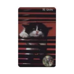   Card 15u Black & White Cat Peering Through Horizontal Blinds (Photo