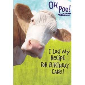 Greeting Card Birthday Oh, Poo, I Lost My Recipe for 