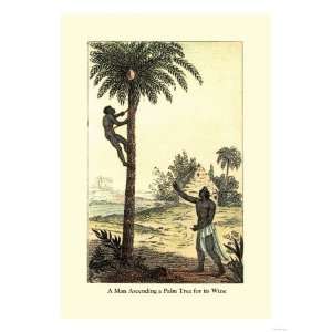 Man Ascending a Palm Tree for Its Wine Premium Poster 