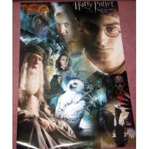  HARRY POTTER cast AUTOGRAPHED Poster *PROOF Everything 