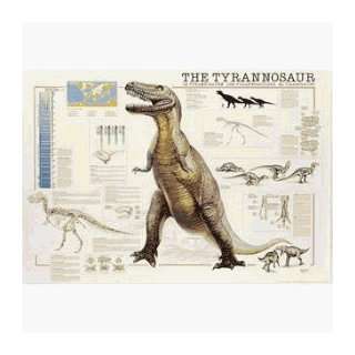 Safari 260821 The Tyrannosaur Laminated Poster   Pack Of 3  