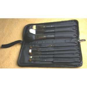 Professional 8 Piece Brush Set with case 