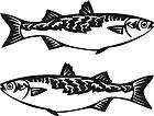 BOAT YACHT GRAPHIC  Mullet Fish  MARINE DECAL/2 STICKERS PORT AND 