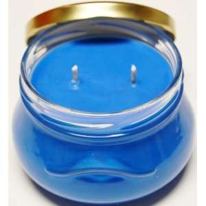    2 Pack 11 oz Tureen Soy Candle   Rain Water 