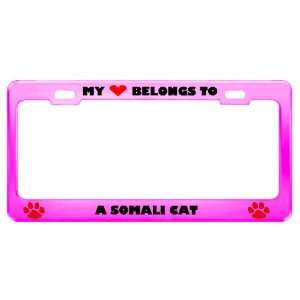  A Somali Cat Pet Pink Metal License Plate Frame Tag Holder 