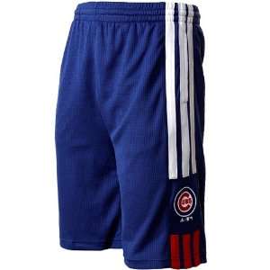   Chicago Cubs Youth Pre Game Shorts   Royal Blue