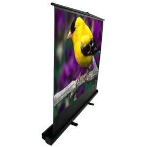  Portable Floor Pull Up Projection Screen. 100IN DIAG PORTABLE FLOOR 
