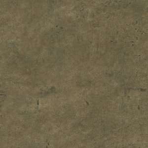   Decorate By Color BC1581858 Brown Leather Wallpaper