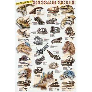  Safari 20180 Dinosaur Skulls Poster   Pack Of 3