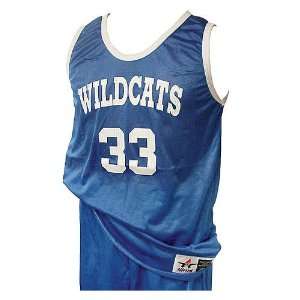  Alleson Athletic Adult Mini Mesh Jersey