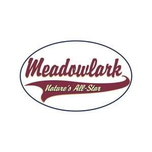  Meadowlark Shirts