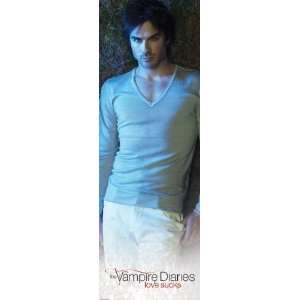  Television Posters Vampire Diaries   Damon   61.6x20.7 