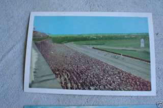 Vintage 1950s Postcard Belmont Park Horse Racing LOOK  