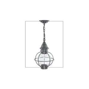 Norwell 1524 VE CL Globe Vidalia Onion 1 Light Outdoor Hanging Lantern 