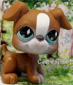   PET SHOP✿RETIRED✿BOXER PUPPY DOG #83✿NEW•✿•  