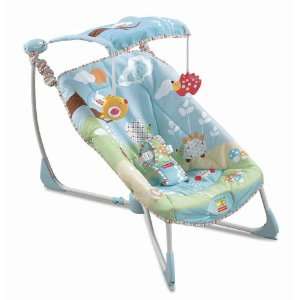  Fisher Price Soothe & Go Bouncy Seat Baby