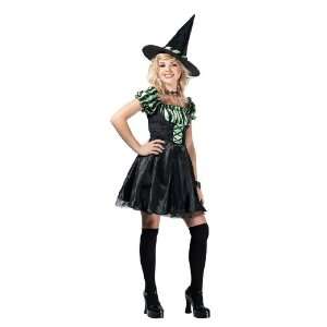  Lime Stripe Witch Teen Costume