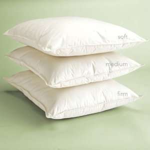  Gaiam Organic Cotton Pillow   Standard, Soft