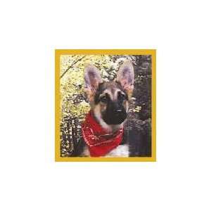  New Magnetic Bookmark German Shepherd Pup W/Bandana High 