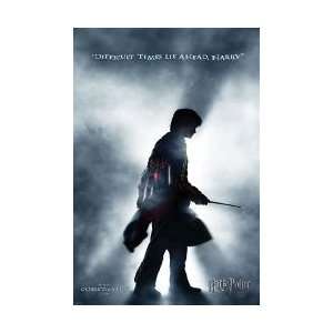 Movies Posters Harry Potter   Teaser #2 Poster   35.5x23.8 inches 