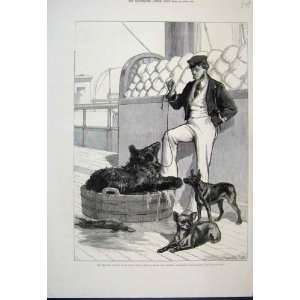   1876 Prince Serapis Black Bear Tailless Dog Old Print