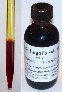 Lugols solution, 2 fl. oz. w/dropper, 2.2% iodine  